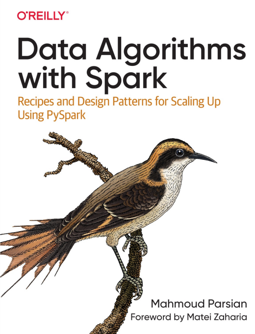 Data Algorithms with Spark  PDF 下載 圖1